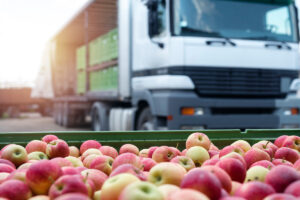 Pnrr, settore agroalimentare: 5 miliardi per la sostenibilità e l’innovazione