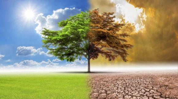L'allarme: la pandemia rischia di comprimere le risorse dedicate al clima