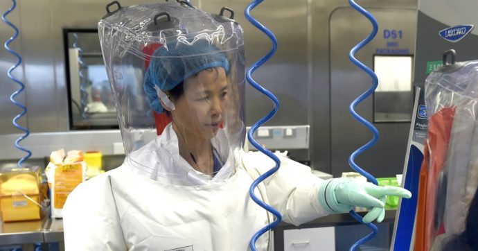 Shi Zhengli, virologa: «Il coronavirus non è nato a Wuhan, Trump si scusi»