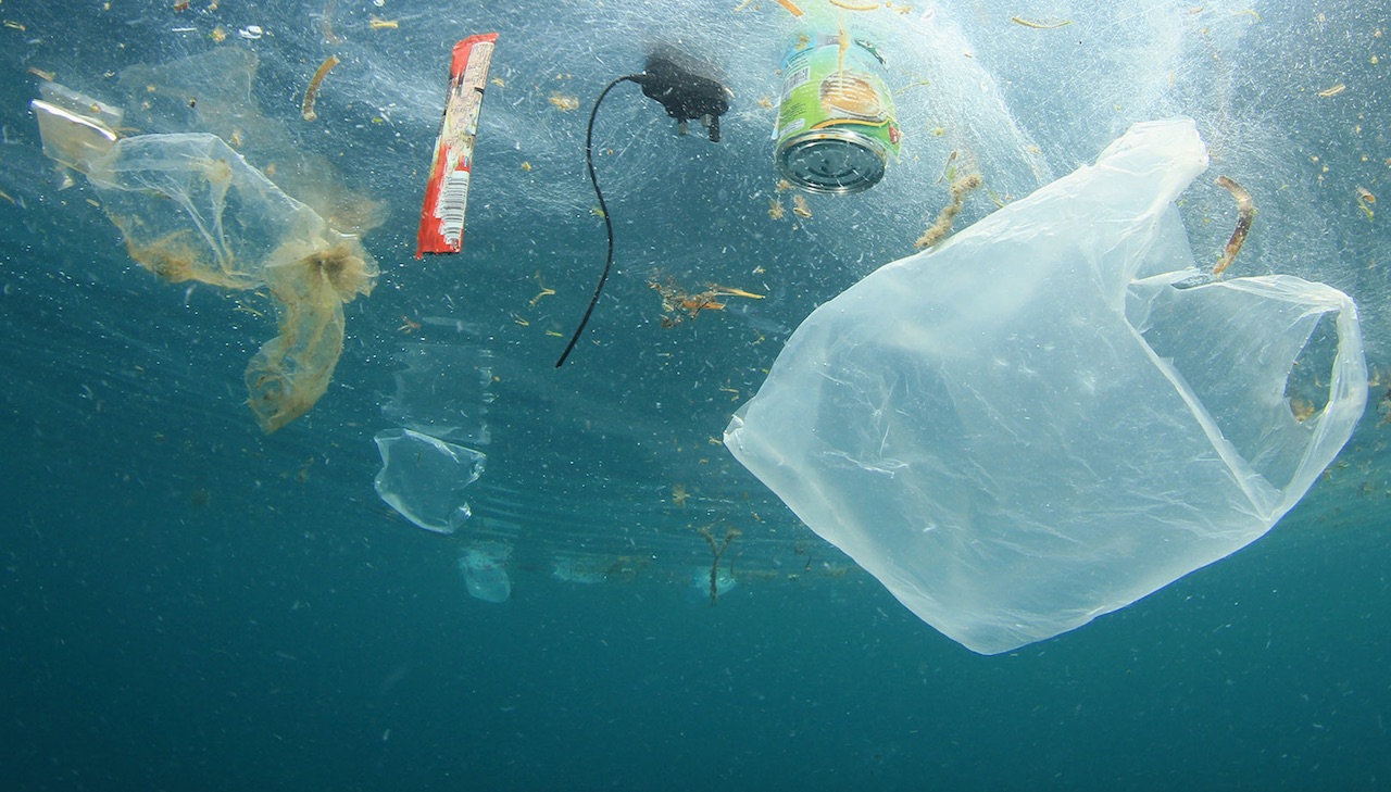 La plastica negli oceani potrebbe triplicare entro il 2040, una ricerca pubblicata sulla rivista Science