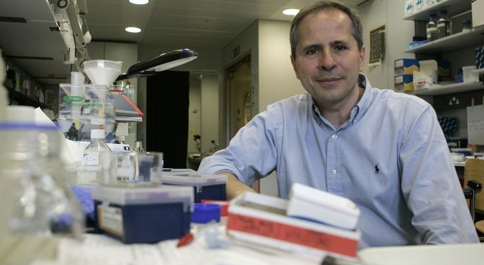 Coronavirus, Crisanti: «Il governo mi ha chiesto un piano per i tamponi, occorre passare a 300mila al giorno»