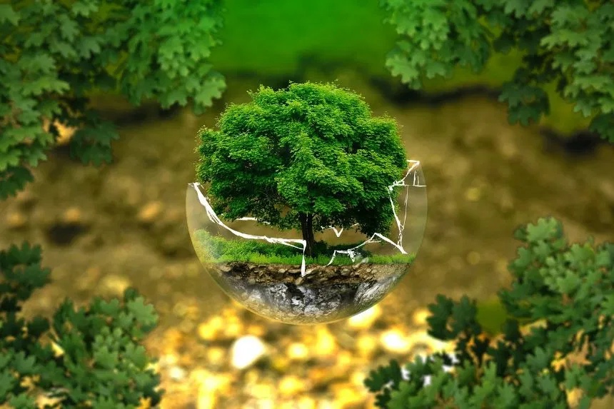 L’Ue prova a stringere i tempi per fissare i target sull'ambiente | Lo scenario