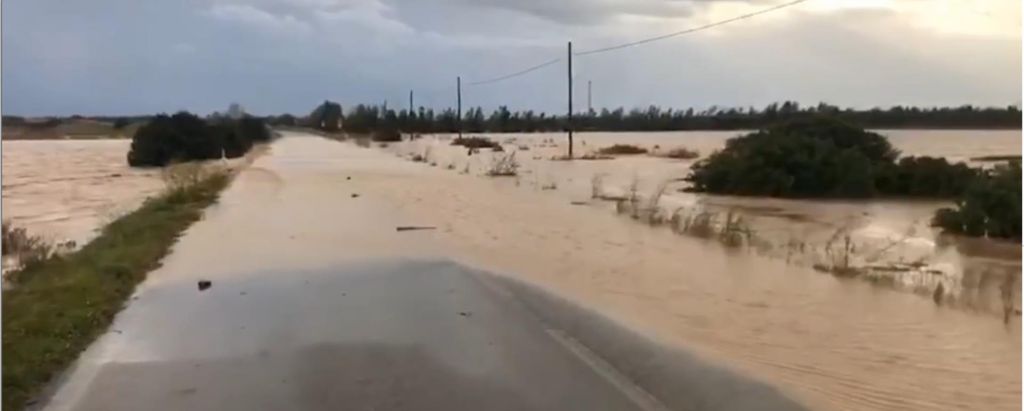 Confagricoltura danni maltempo