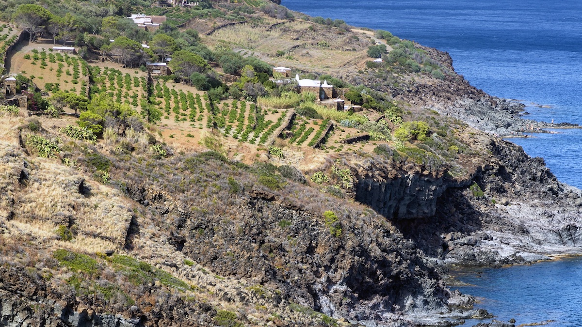 Pantelleria è il fiore nel deserto per numero di progetti del PNRR approvati | Il caso