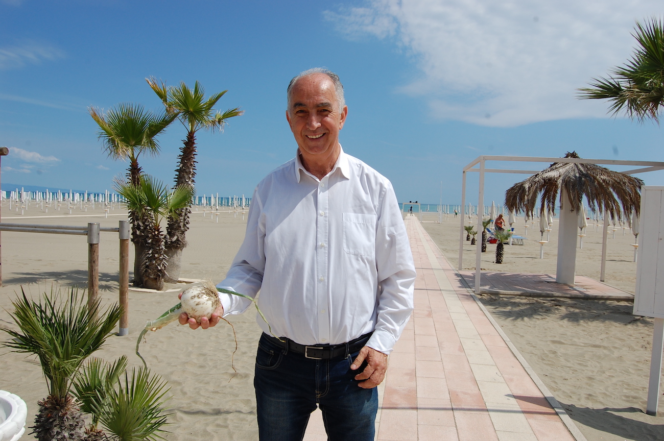 Giuseppe Castiglione (Presidente Consorzio di Valorizzazione e Tutela della Cipolla Bianca di Margherita IGP): «Nel 2020 abbiamo registrato una crescita di interesse, ma anche tante difficoltà»