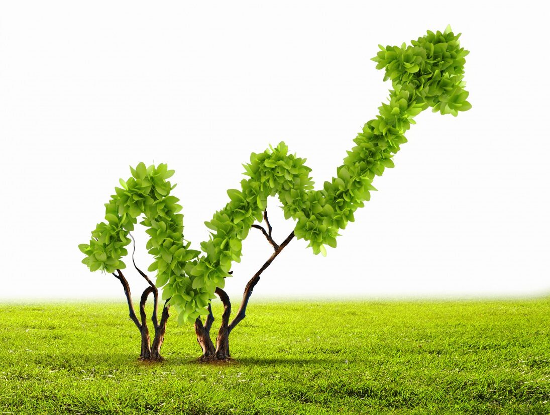 CBI: il 2020 è stato l’anno dei green bond