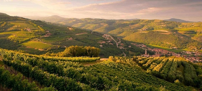 Colline terrazzate di Valpolicella