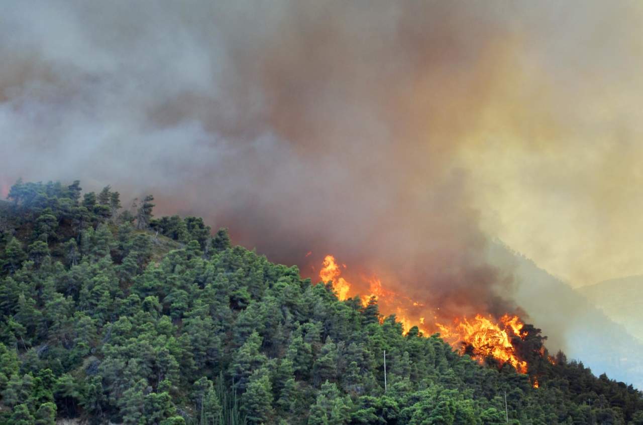 L’annuncio di Ispra: nel 2022 è bruciato il 40 per cento di ecosistemi boschivi in meno dell’anno precedente