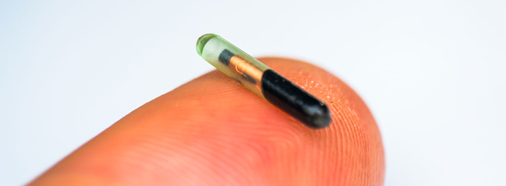 Crisi dei chip: colpito il settore automobilistico