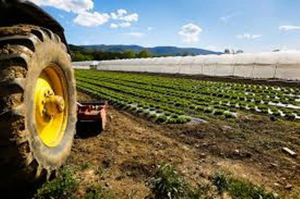Solo il 7,2% delle imprese agricole produce energia green | Lo scenario