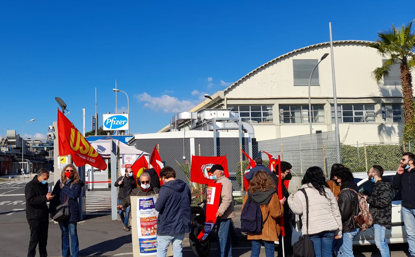 pfizer catania