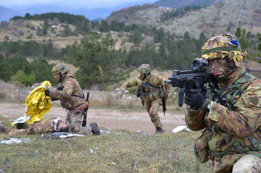 Gli alpini e l'esercitazione per la guerra