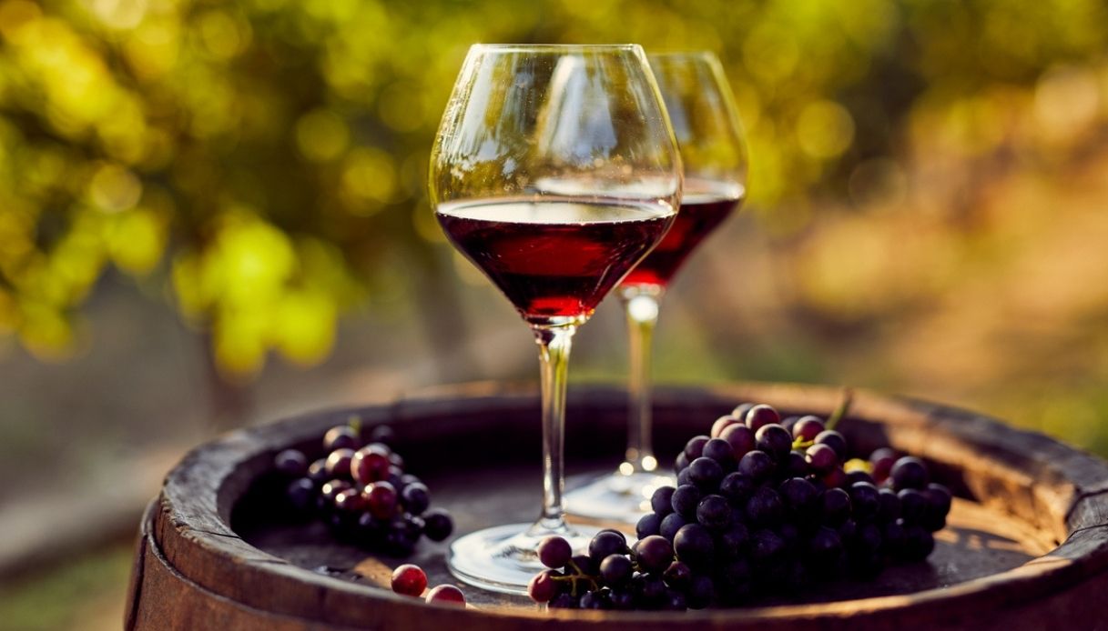 La peronospora taglia la vendemmia, cali fino al 40% | Il caso
