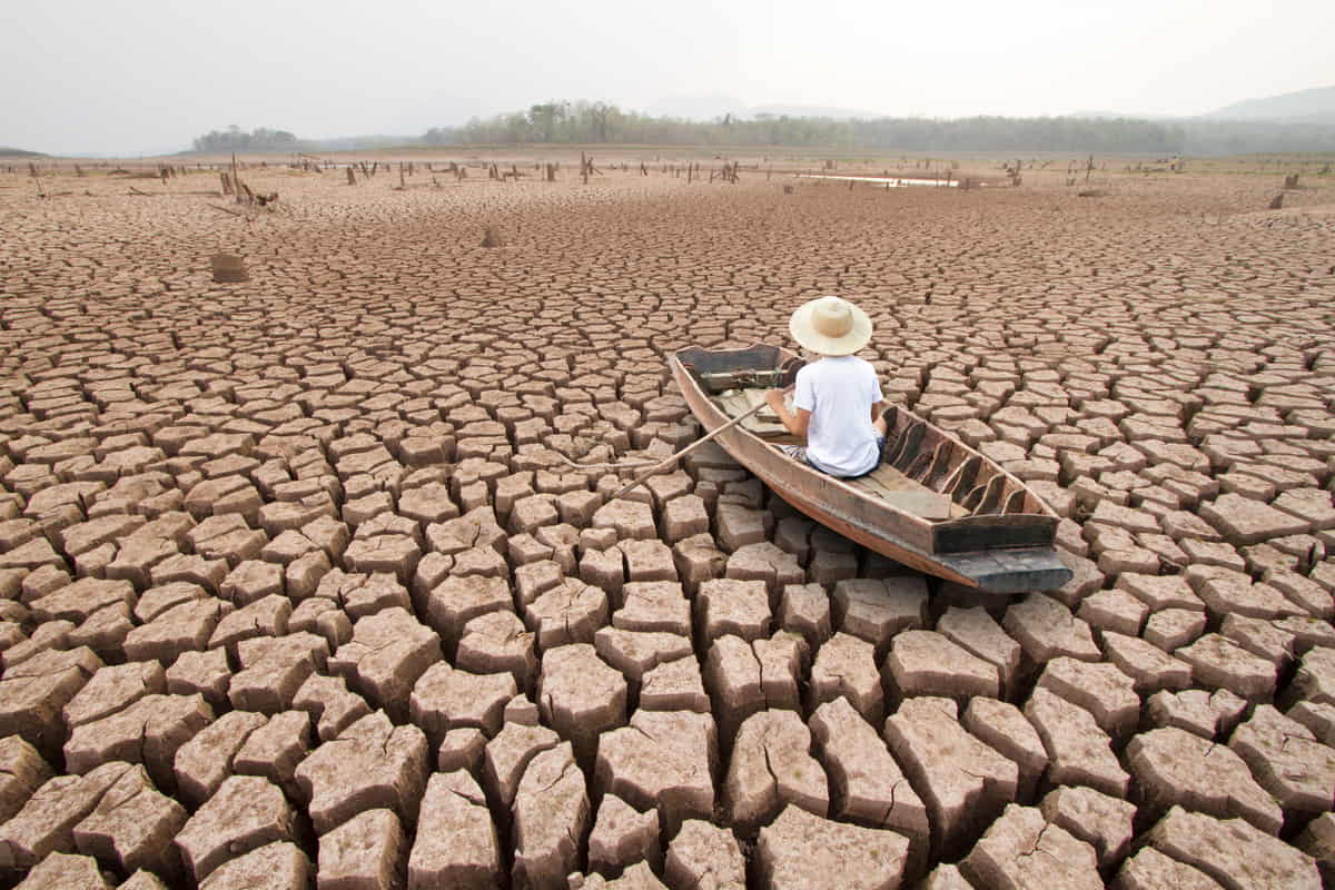 Desertificazione