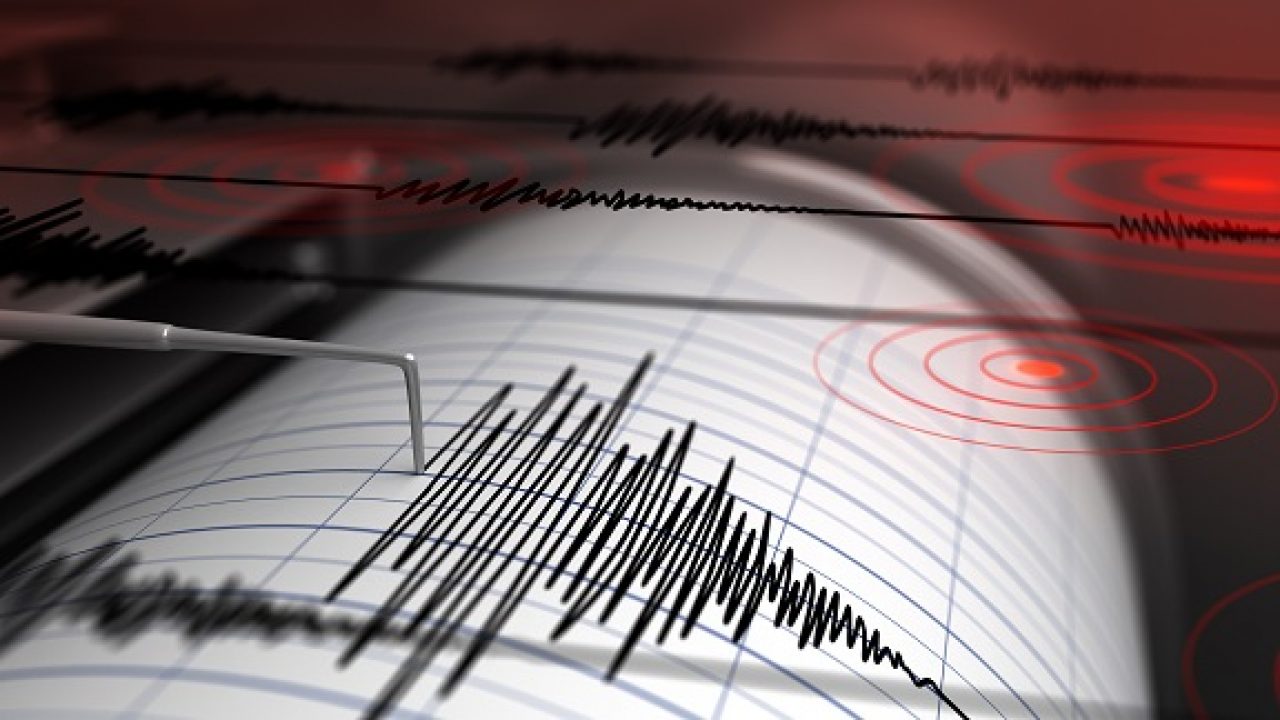 In Calabria il terremoto più forte del 2022 | L’analisi