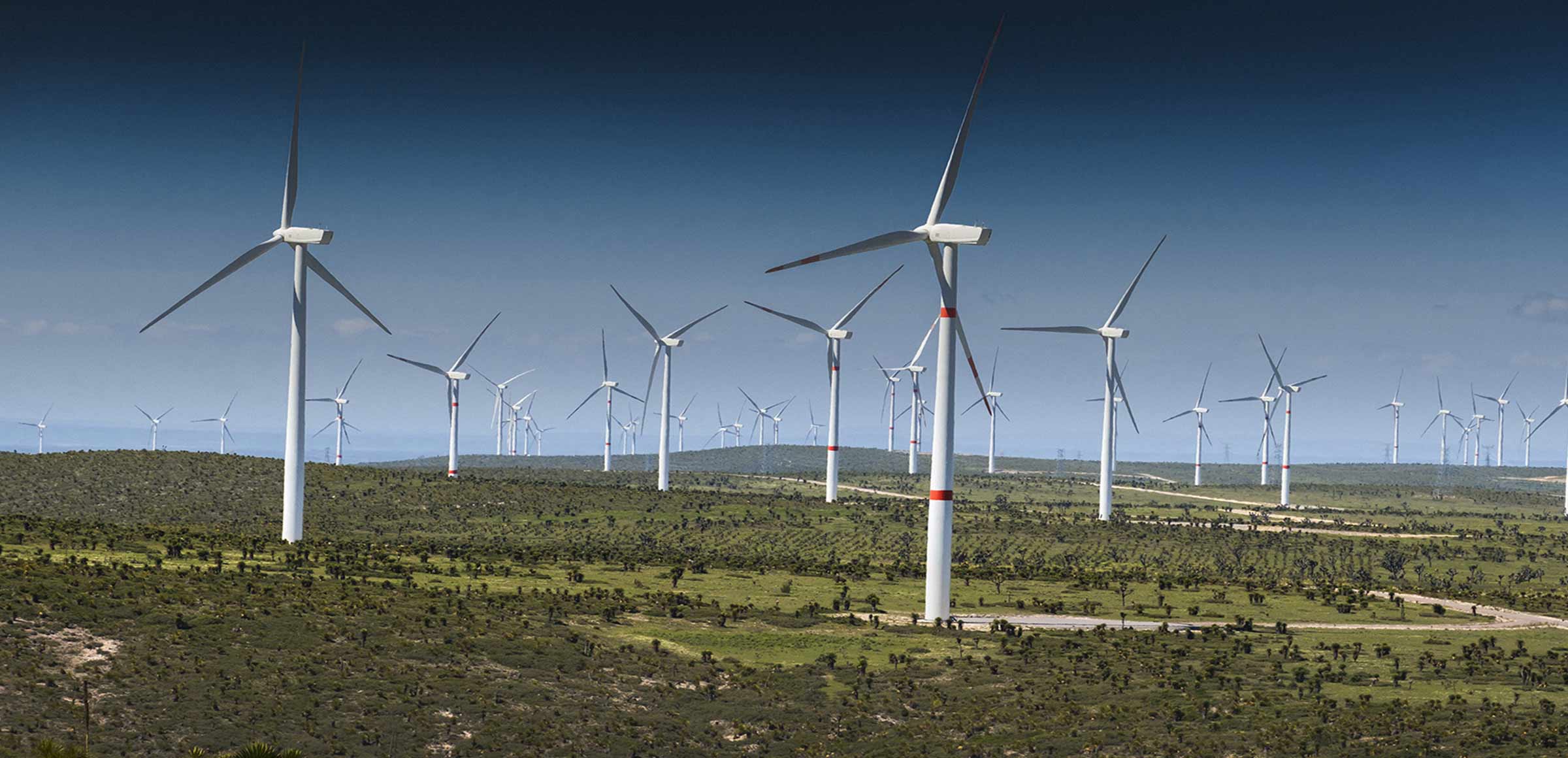 [L'analisi] Energia rinnovabile, il governo sblocca 13 parchi eolici