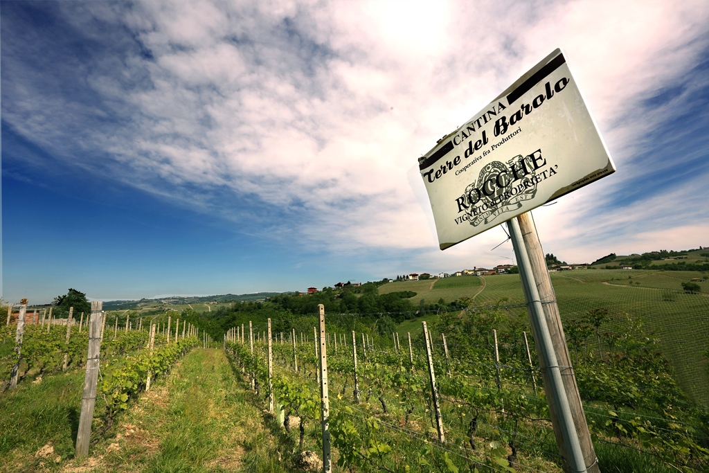 Il fatturato delle Terre del Barolo da record a oltre 22 milioni