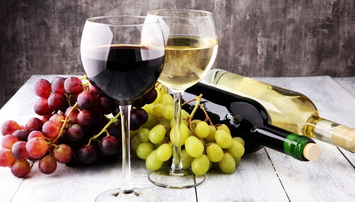 Le imprese vitivinicole della Toscana sono al top per la redditività | L’analisi