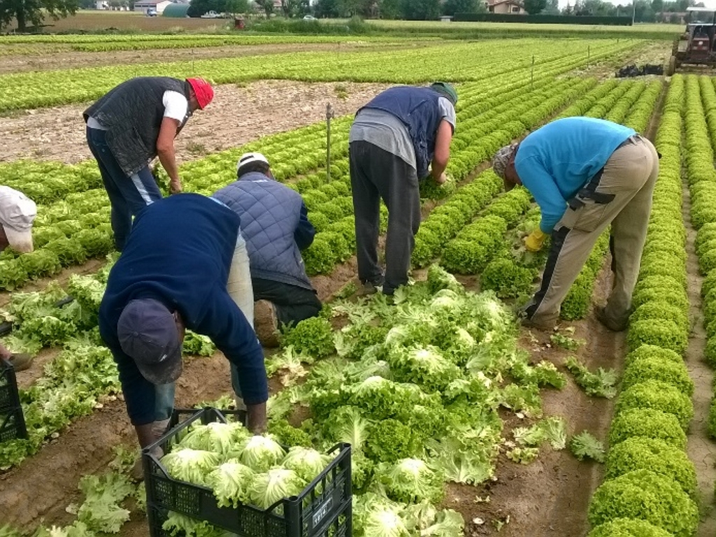 Serve regolarizzare i migranti per far fronte alle esigenze dell’economia | Lo scenario