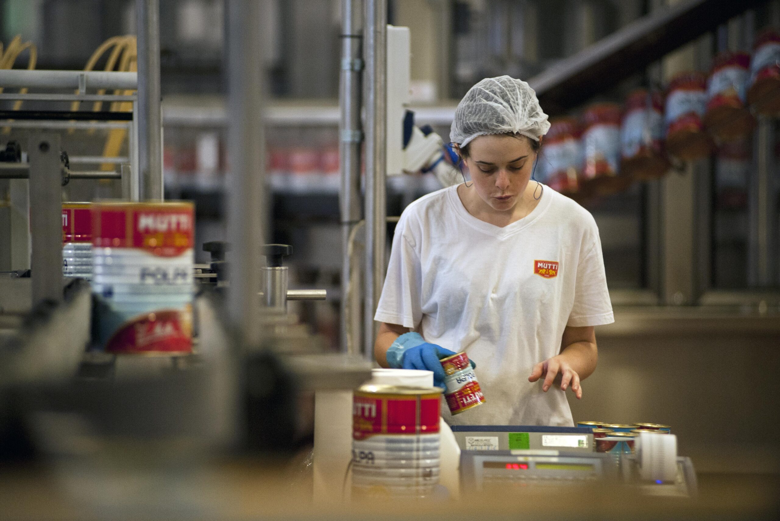 Mutti prevede 1200 assunzioni per la campagna di lavorazione del Pomodoro 2023 | L’iniziativa
