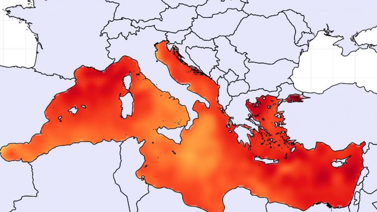 mediterraneo