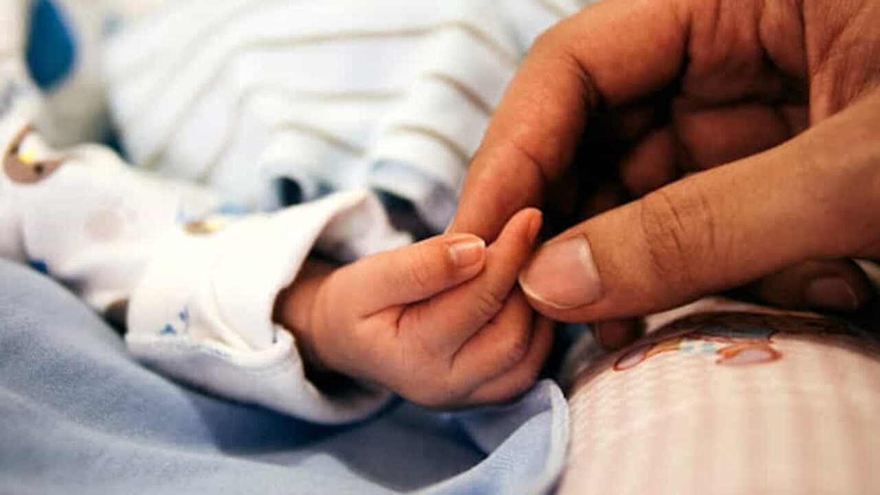 Inverno demografico in Romagna: l’allarme di Legacoop