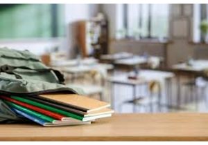 Calo demografico e scuola: in Calabria 4.606 alunni in meno | L’analisi