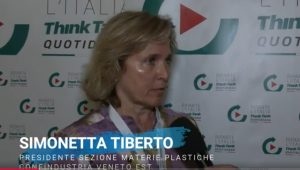 Simonetta Tiberto, Presidente Sezione Materie Plastiche Confindustria Veneto Est: «Energia, burocrazia e manodopera: così rischiamo di perdere competitività»