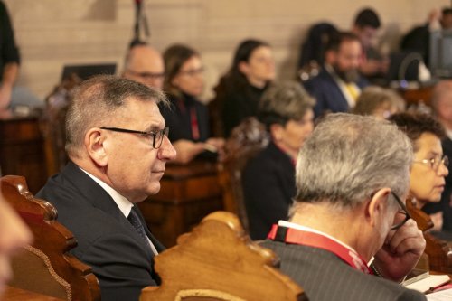 IMG 4161