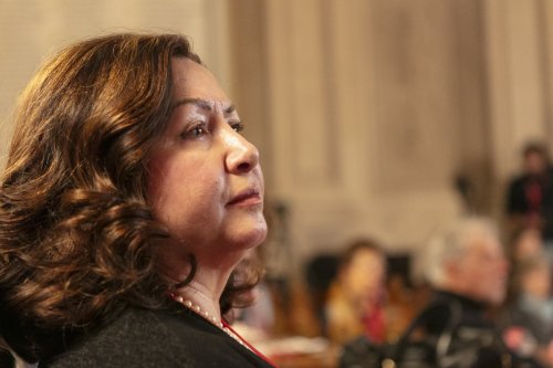 IMG 4235
