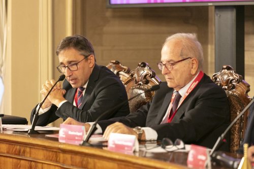 IMG 4413