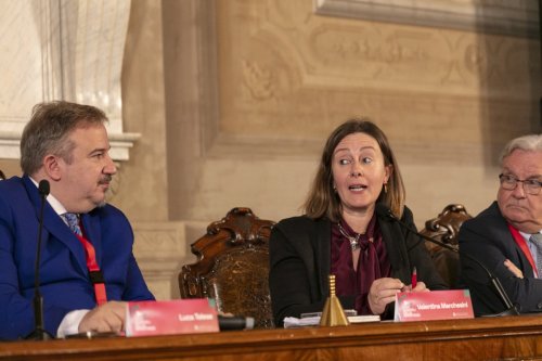 IMG 4488