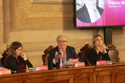 IMG 4525