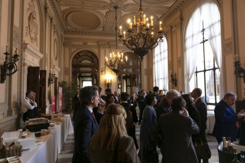 IMG 4627