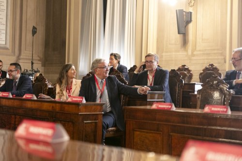 IMG 4662