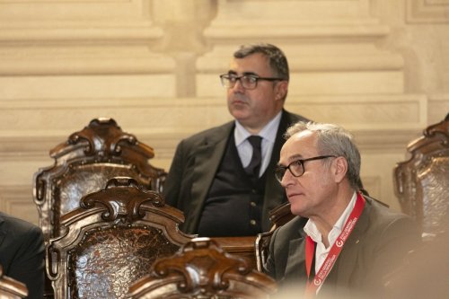 IMG 4701
