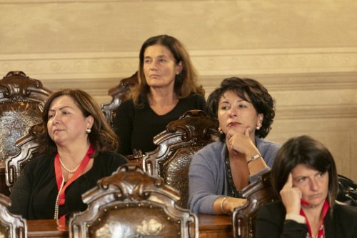 IMG 4786