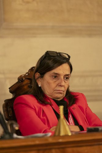 IMG 4882