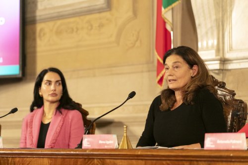 IMG 4919